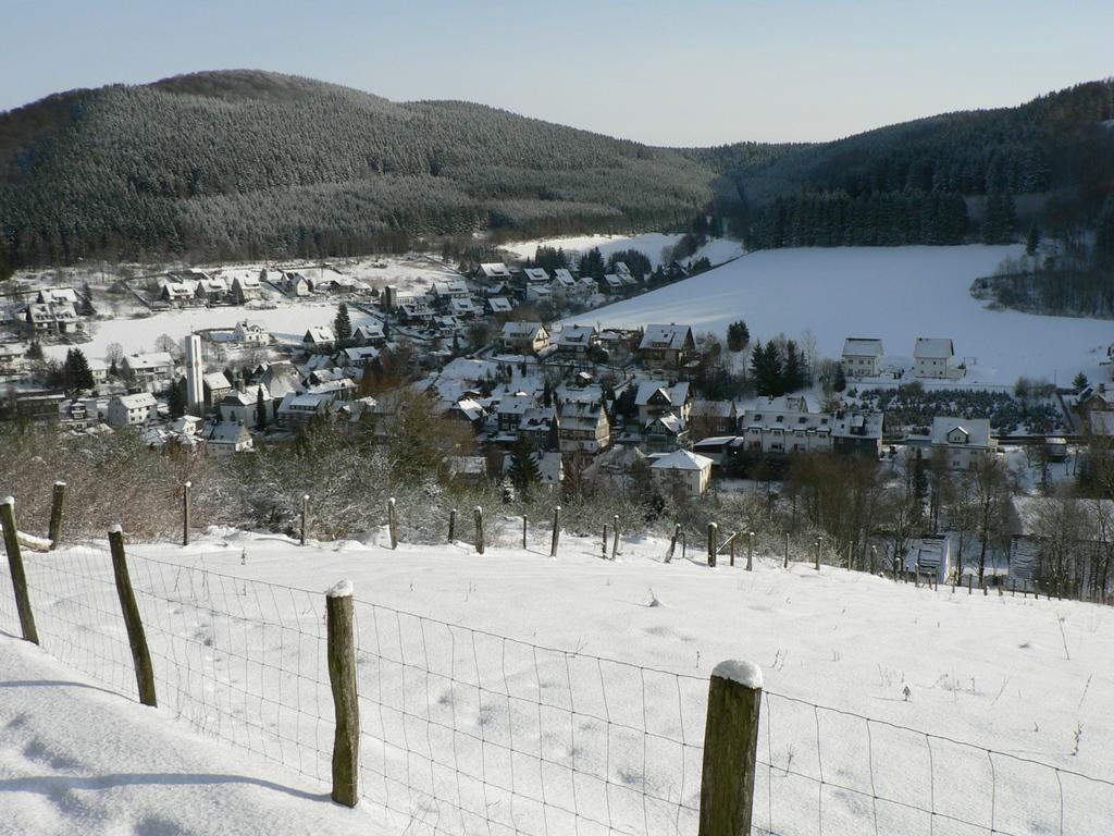 Landhaus Silberberg Winterberg Eksteriør billede